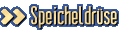 Speicheldrüse